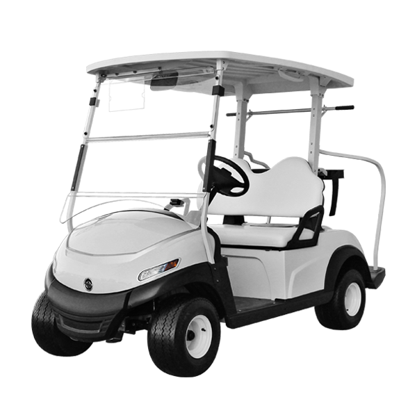2 kişilik elektrikli golf arabası